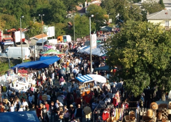 Istinski spektakl u “gradu na brege”1