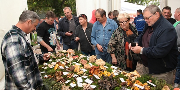 200tinjak berača uputilo na branje gljiva1