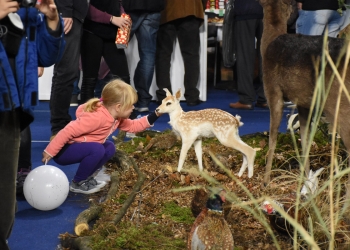 Priroda, lov, ribolov, turizam1