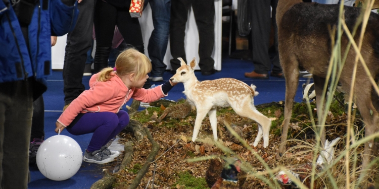 Priroda, lov, ribolov, turizam1