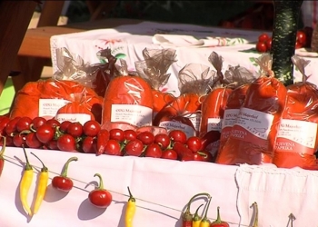 Crveno baranjsko zlato svira vatreni čardaš1