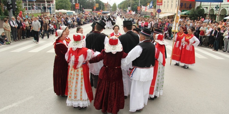 Curo draga iz sokaka moga1