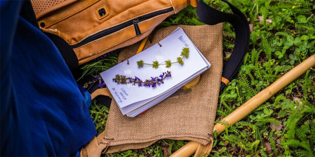 Proljece u Krsanu 01