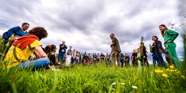 Proljece u Krsanu 02