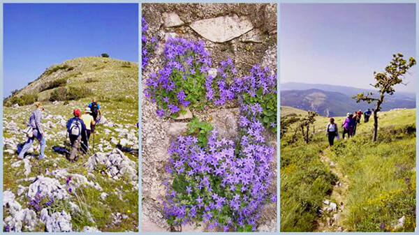 Proljece u Krsanu 07