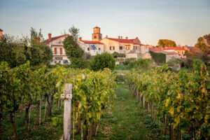 Ljetni festival istarskog pršuta u Tinjanu 10