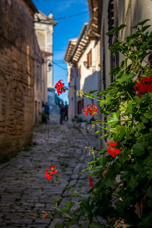 Ljetni festival istarskog pršuta u Tinjanu 8