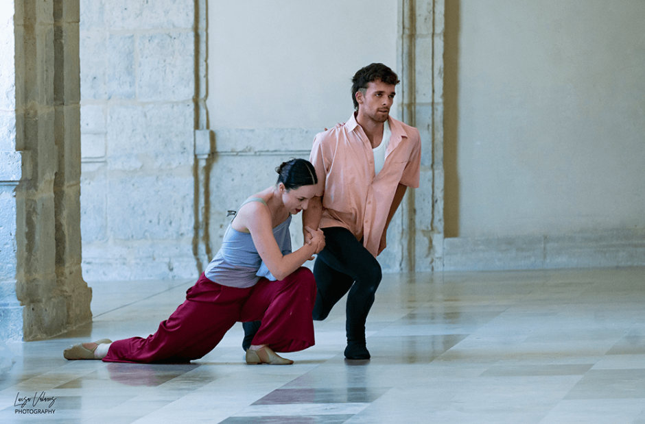 Međunarodni program 25. Festivala plesa i neverbalnog kazališta Svetvinčenat 2