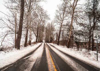 snijeg napadao po cesti