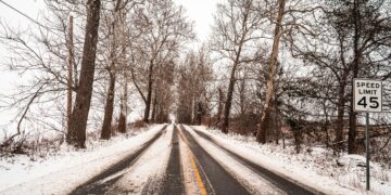 snijeg napadao po cesti